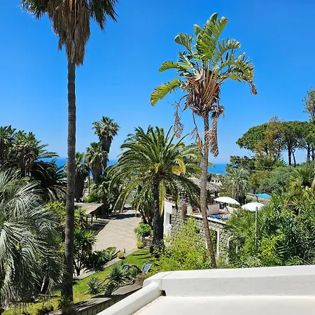 Апарт-готель Paco Benessere & Relax Forio (Isola d'Ischia)