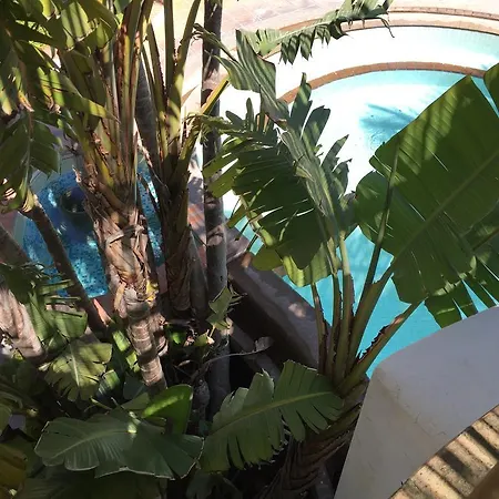 Апарт-готель Paco Benessere & Relax Forio (Isola d'Ischia)